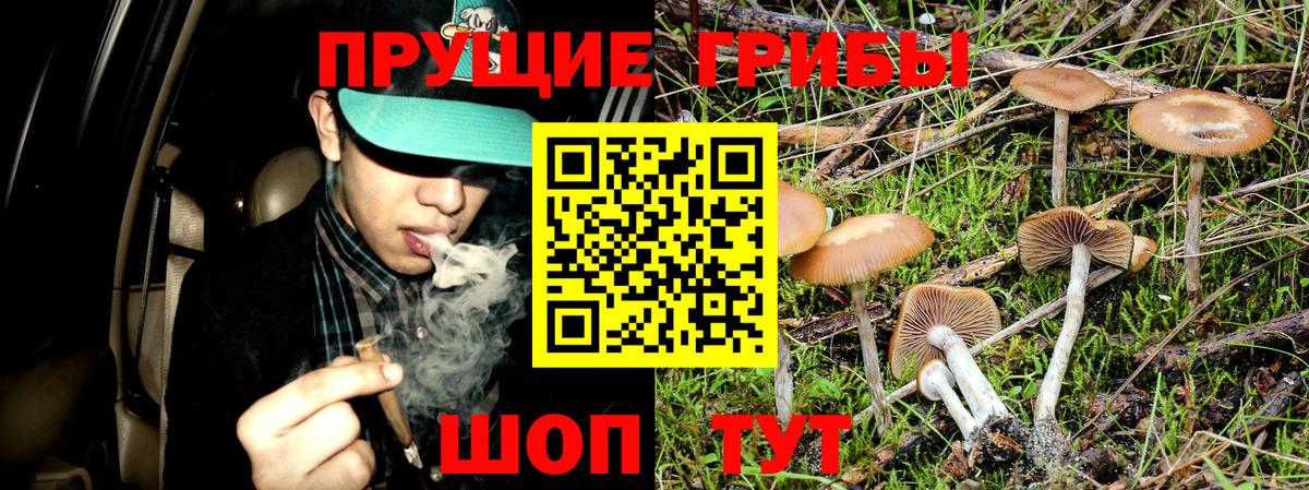 даркнет сайт  Вход с VPN  Вязники  Галлюциногенные грибы MAGIC MUSHROOMS 