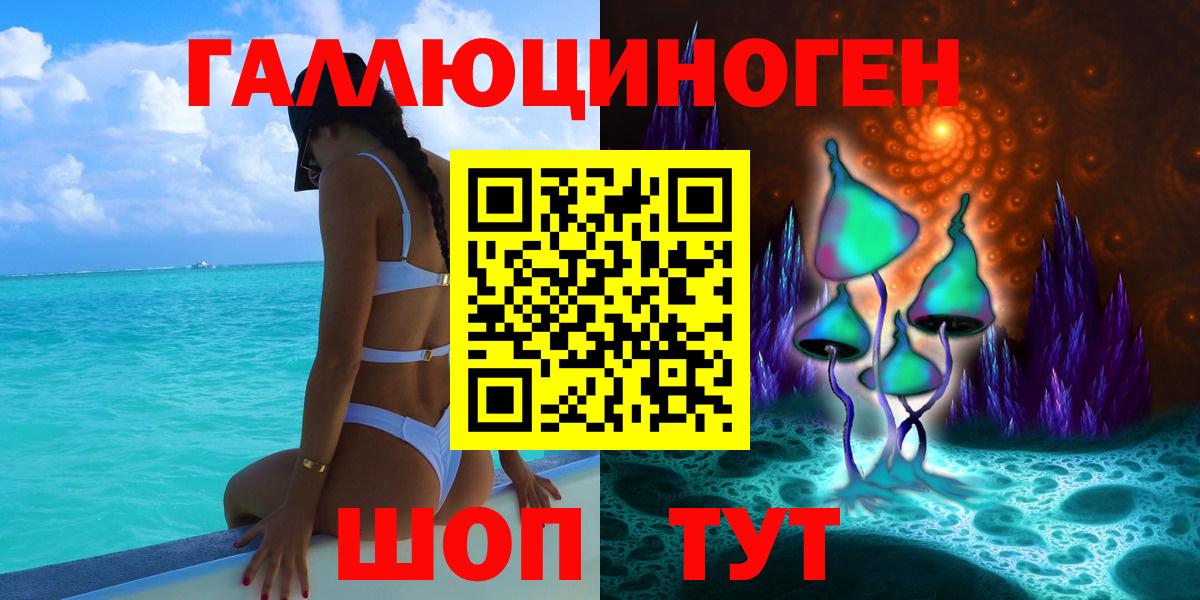 Галлюциногенные грибы Psilocybe Вязники
